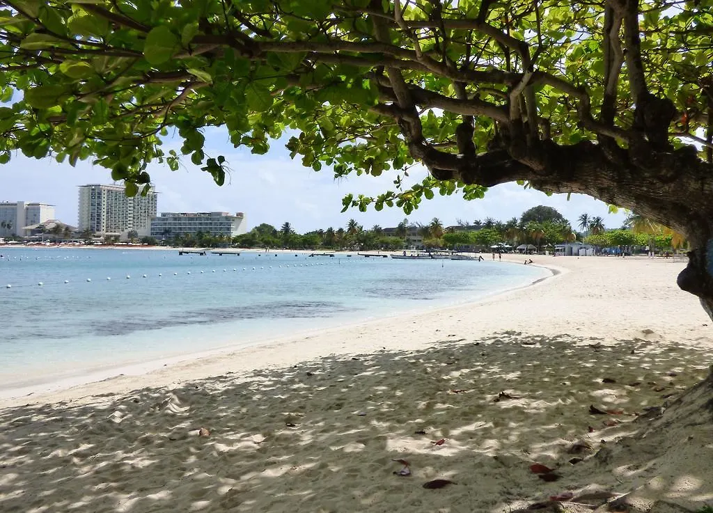 Beach One Bedroom Suite A29 Ocho Rios Apartment
